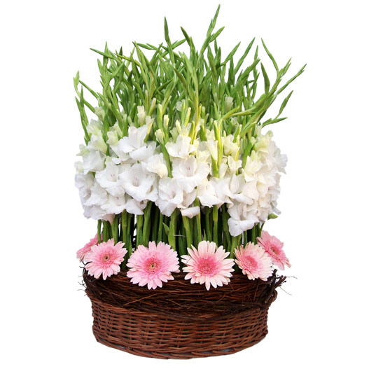 Gladiola Centerpieces Gladiola Centerpieces