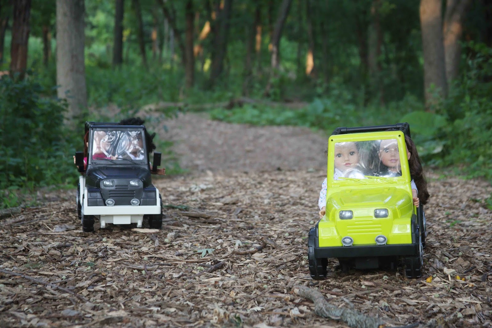 My Journey Girls Dolls Adventures January 2016