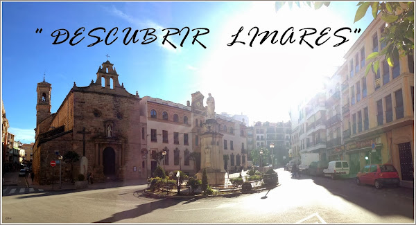 DESCUBRIR LINARES