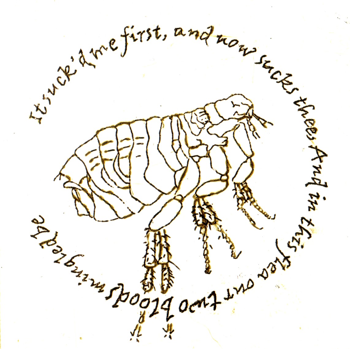 the arrogance in the flea by john donne Donne - meter in `the flea` 6/11/2015 0 comments this flea is you and i, and this our mar-riage bed john donne poetry metaphysical poetry tess of the d'ubervilles thomas hardy english a2 blog archives july 2015 june 2015 create a free website. the arrogance in the flea by john donne Donne - meter in `the flea` 6/11/2015 0 comments this flea is you and i, and this our mar-riage bed john donne poetry metaphysical poetry tess of the d'ubervilles thomas hardy english a2 blog archives july 2015 june 2015 create a free website.