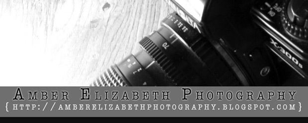 Amber Elizabeth Photography
