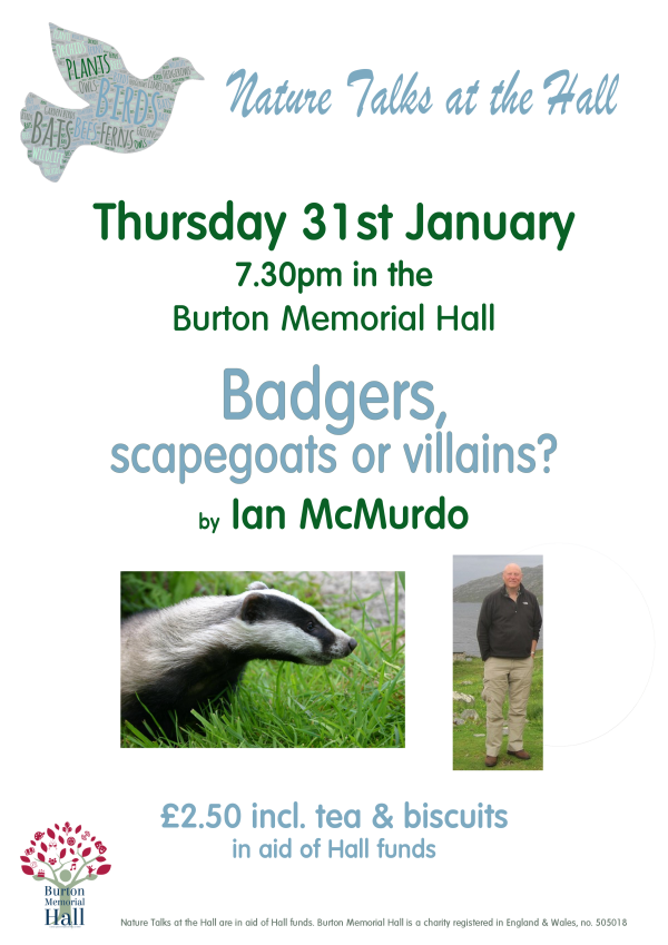 Badgers, scapegoats or villains?