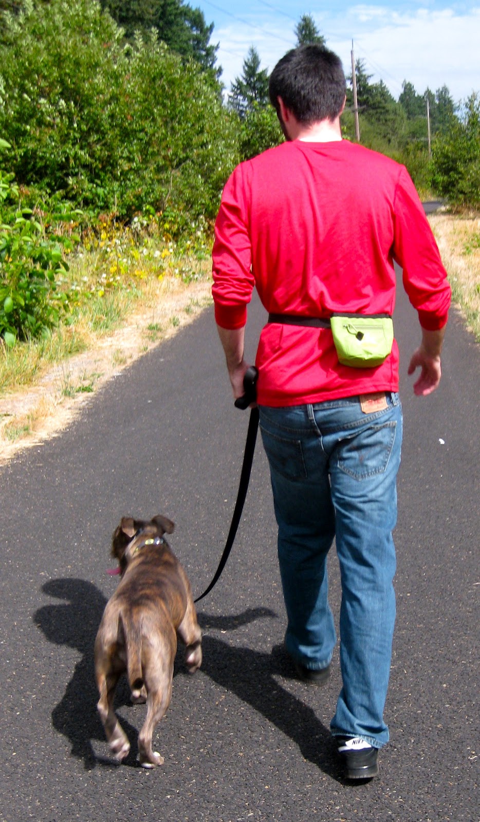 Pitlandia Love It OllyDog Treat Bag Plus