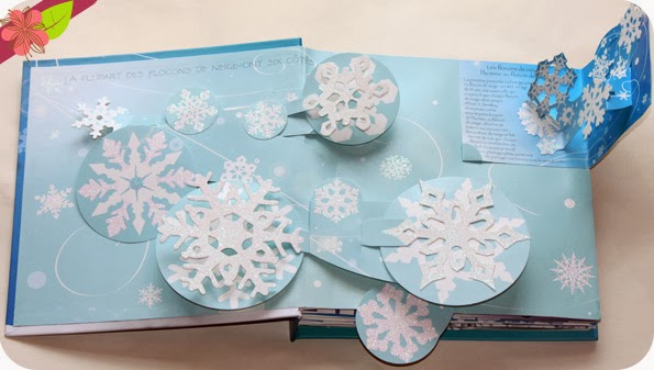 Flocons de neige de Jennifer Preston Chushcoff et Yevgeniya Yeretskaya
