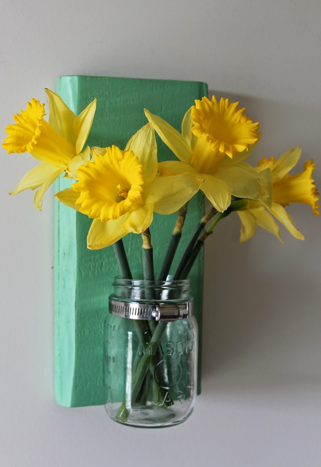 Elizabeth & Co. Mason Jar Wall Vases