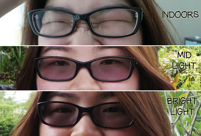 Plus Size Kitten Transitions Optical Lenses Review Part 3