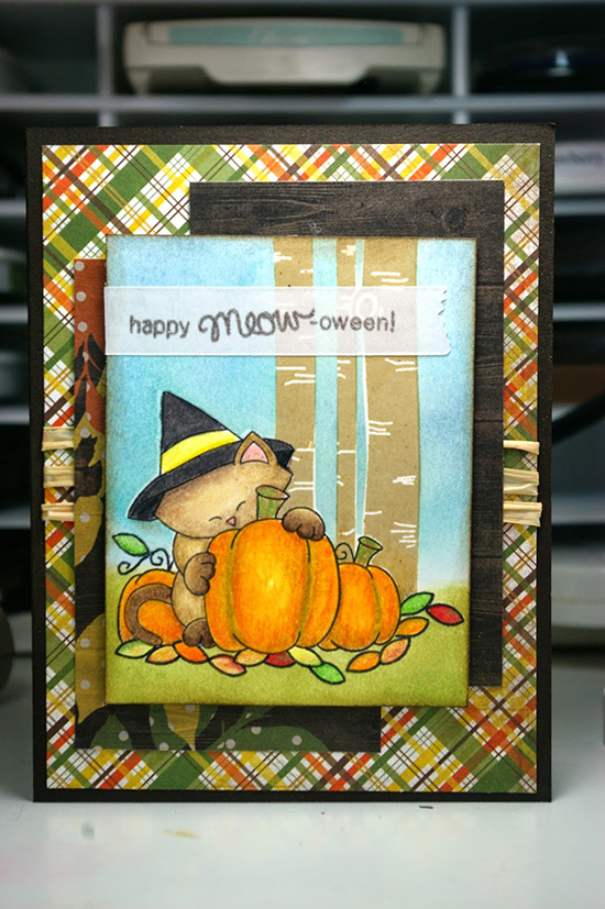 Fall Cat Card for by Zoey and the Furballs for  Newton's Nook Designs Inky Paws Challenge -  Newton's Perfect Pumpkin Stamp set