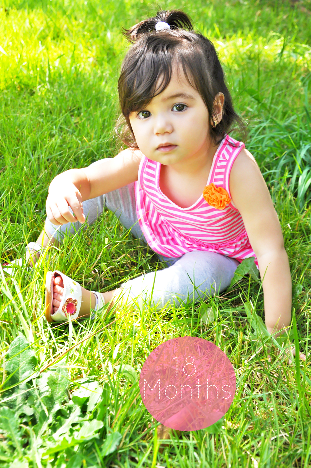 Lights. Camera. Amor. 18 months old.