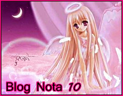 Blog Nota 10