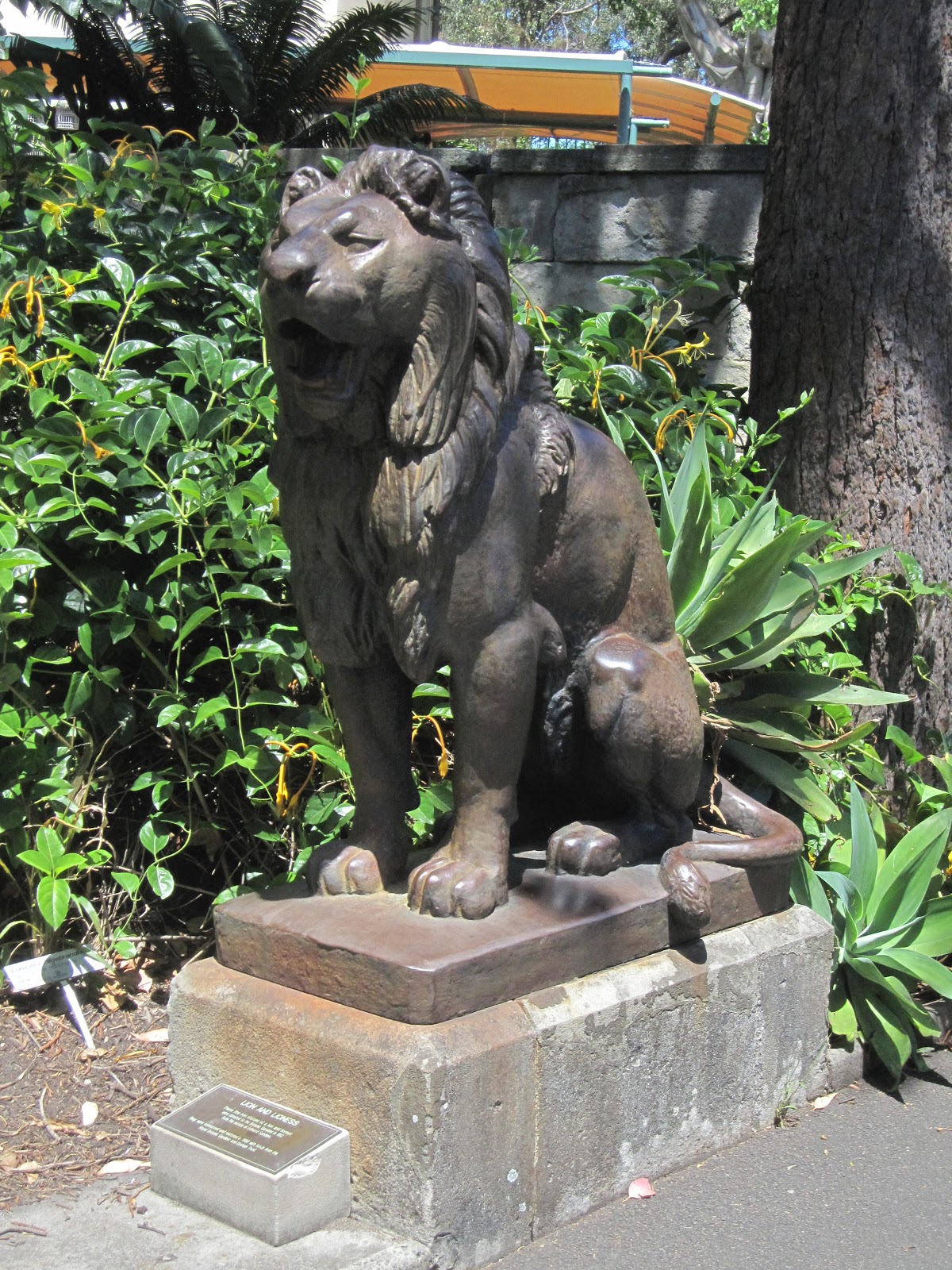 Sydney City and Suburbs Botanic Gardens, The Lion