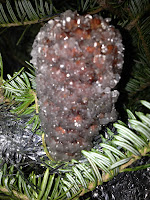 pine cone, Borax crystals, crystal, Christmas decoration, craft