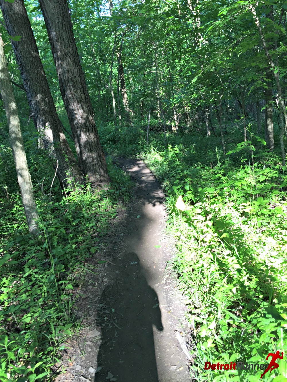 Detroit Runner Flirt With Dirt 10k Race Review