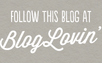 Follow My Blog