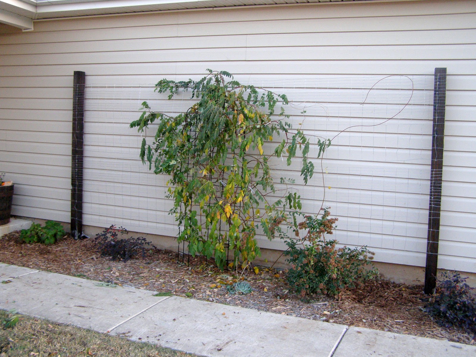 Just Folk Art Making a Rustic Wisteria Trellis