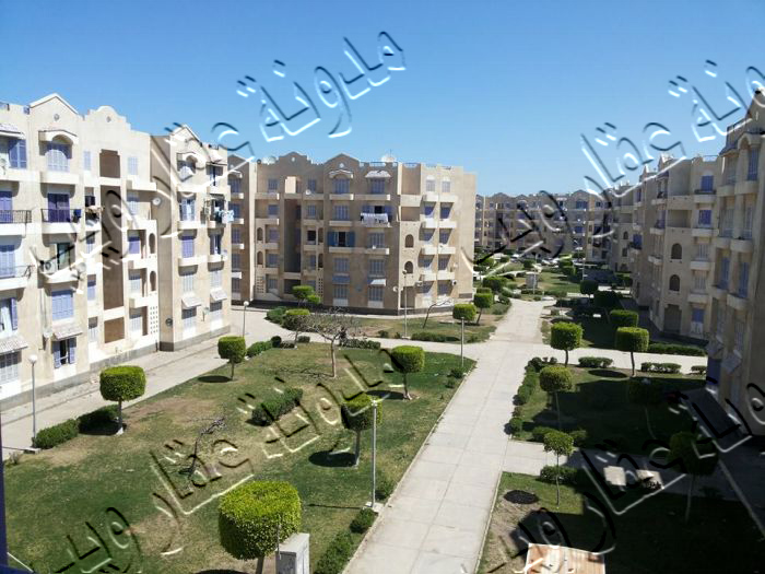 شقة للإيجار سندرة للإيجار بدمياط الجديدة 3 غرف لوكس بسعر مغرى