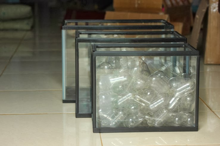 Jual Aquarium Gex cocok untuk Hamster Reptile dan Ikan