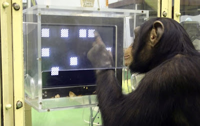 Intelligent Animals Seen On www.coolpicturegallery.us