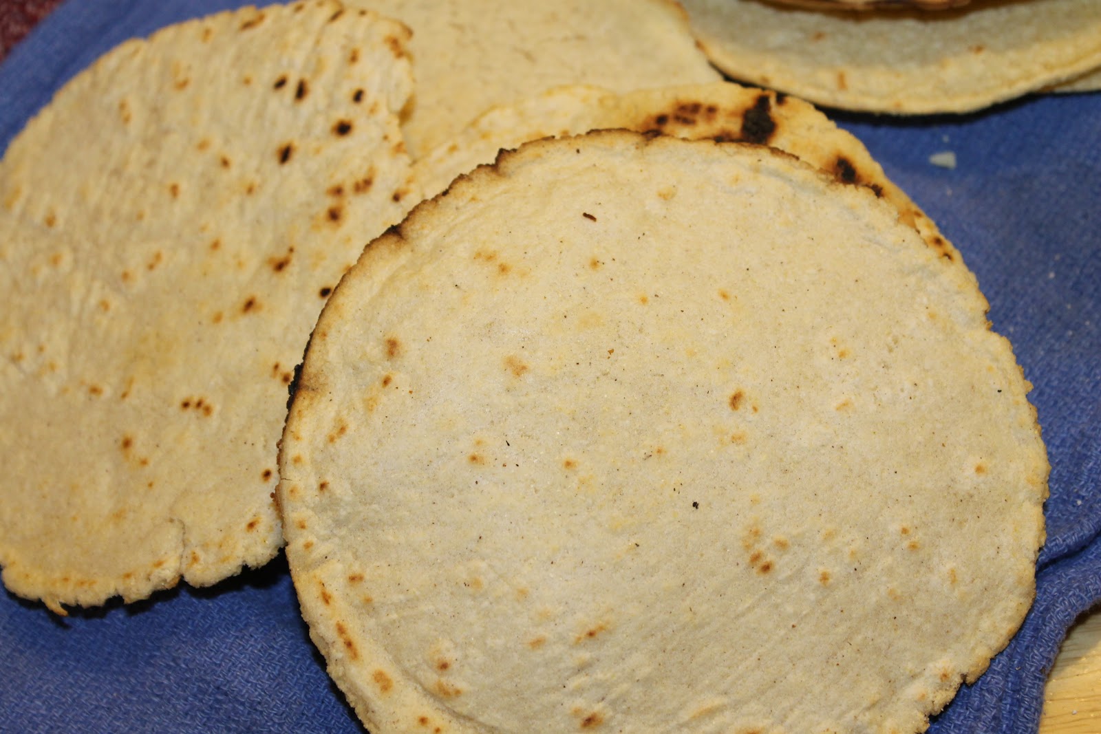 Nay's Yummy Goodness Homemade Corn Tortillas