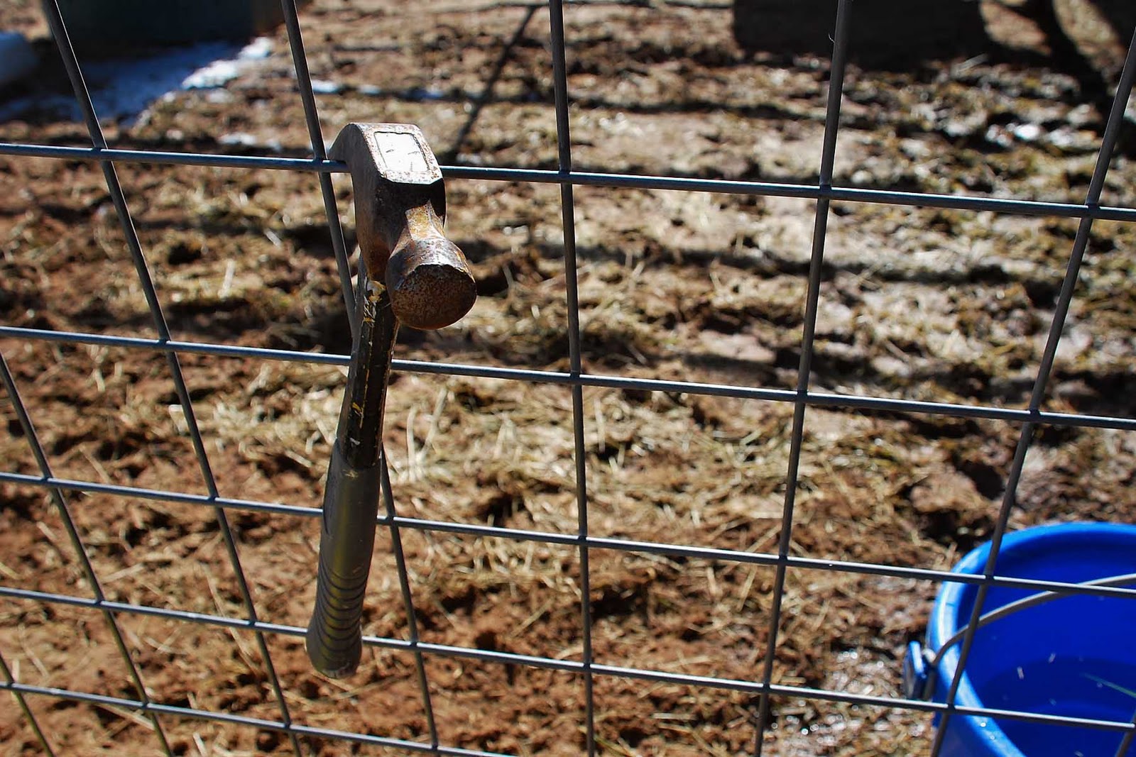 The 7MSN Ranch The art and science of watering livestock in winter