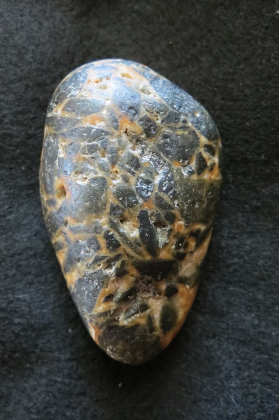 rsvp dating site adelaide