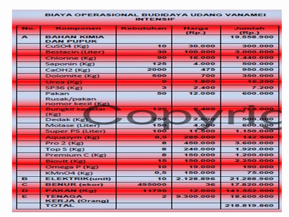 Budidaya Udang Vaname Proposal Budidaya Udang Vaname