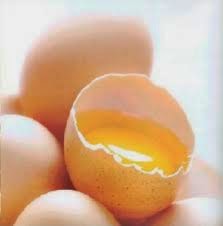 Telur Mentah Telur Mentah