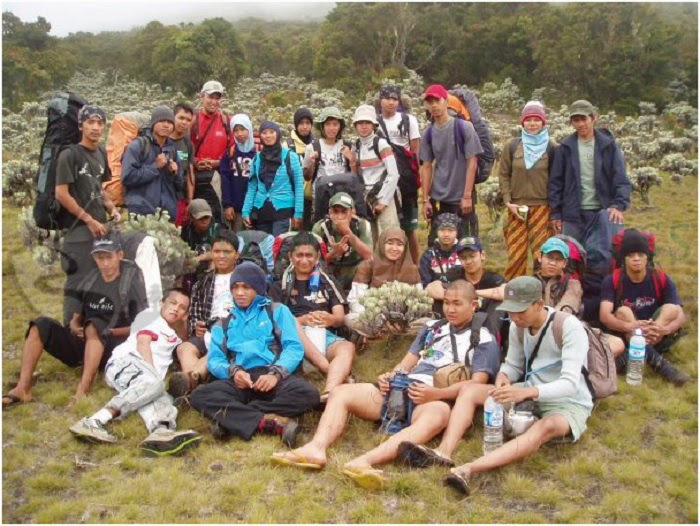 Surya Kencana Edelweiss Flower Field Surya Kencana Edelweiss Flower Field