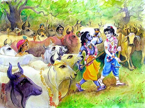 Krishna Balram taking cows for grazing grass of Talvana