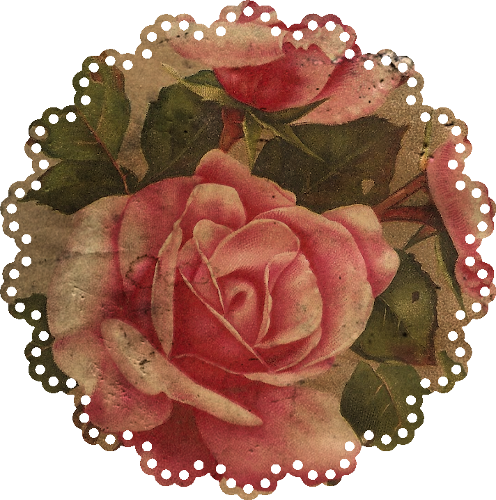 Sweetly Scrapped 103 Doilies, Variety of Patterns and Prints