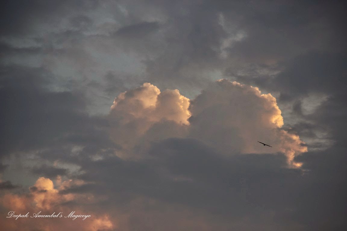 Mumbai daily Skywatch friday