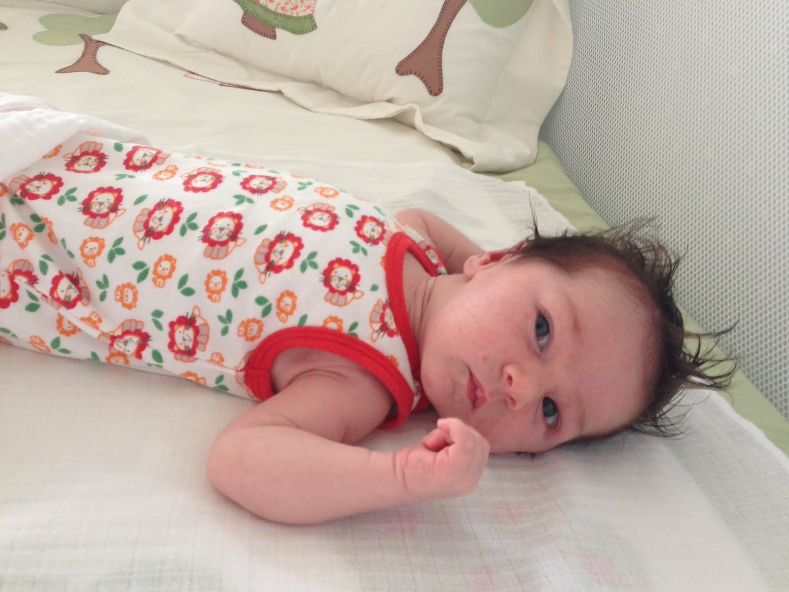 UÇUN KUŞLAR&hellip; BİR BEBEK GİBİ&hellip;