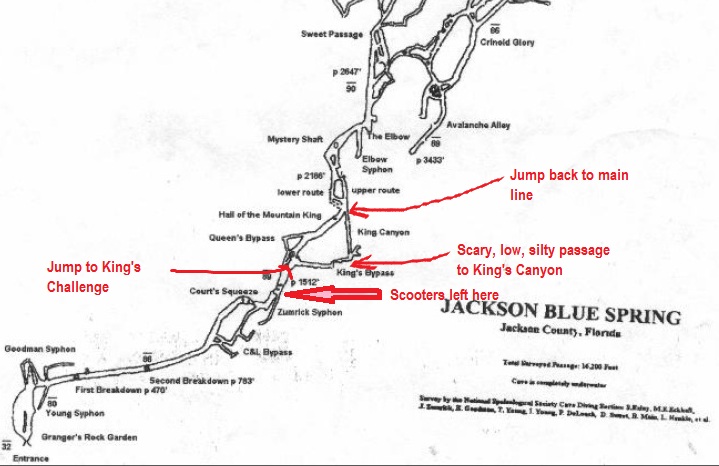 States of Immersion - A Florida Cave Diving Adventure: Jackson Blue