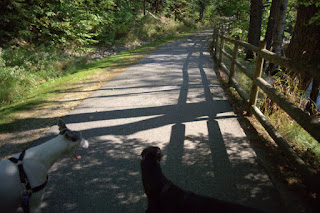 Bettina and Blue greyhound on Lisbon Paper Mill trail
