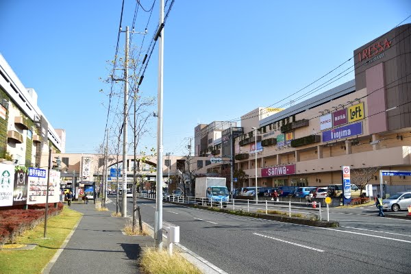 トレッサ横浜までのアクセス