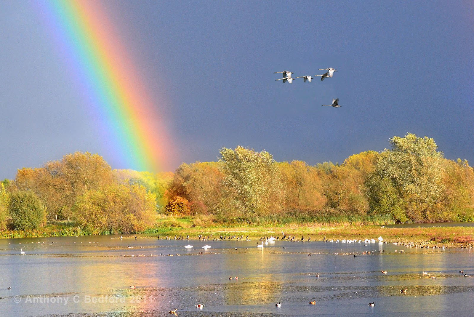 FoLLNR News Linford Lakes Nature Reserve