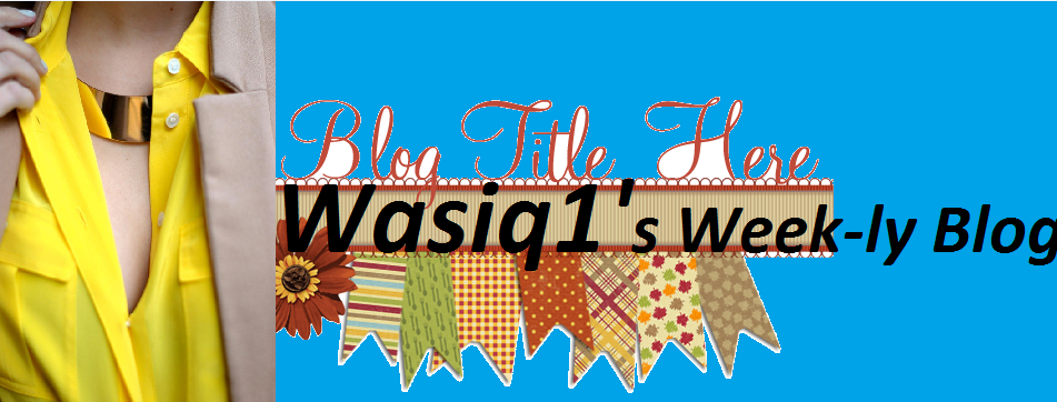 Wasiq1's Week-ly Blog 