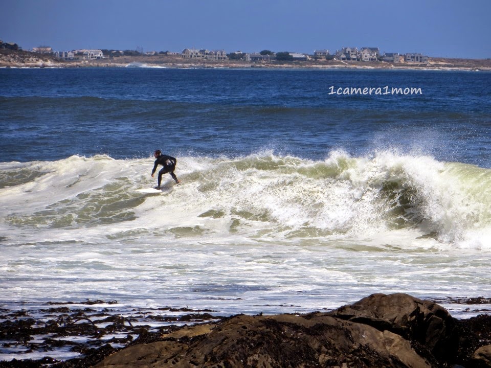 1camera1mom Britannia Bay, South Africa Part 4