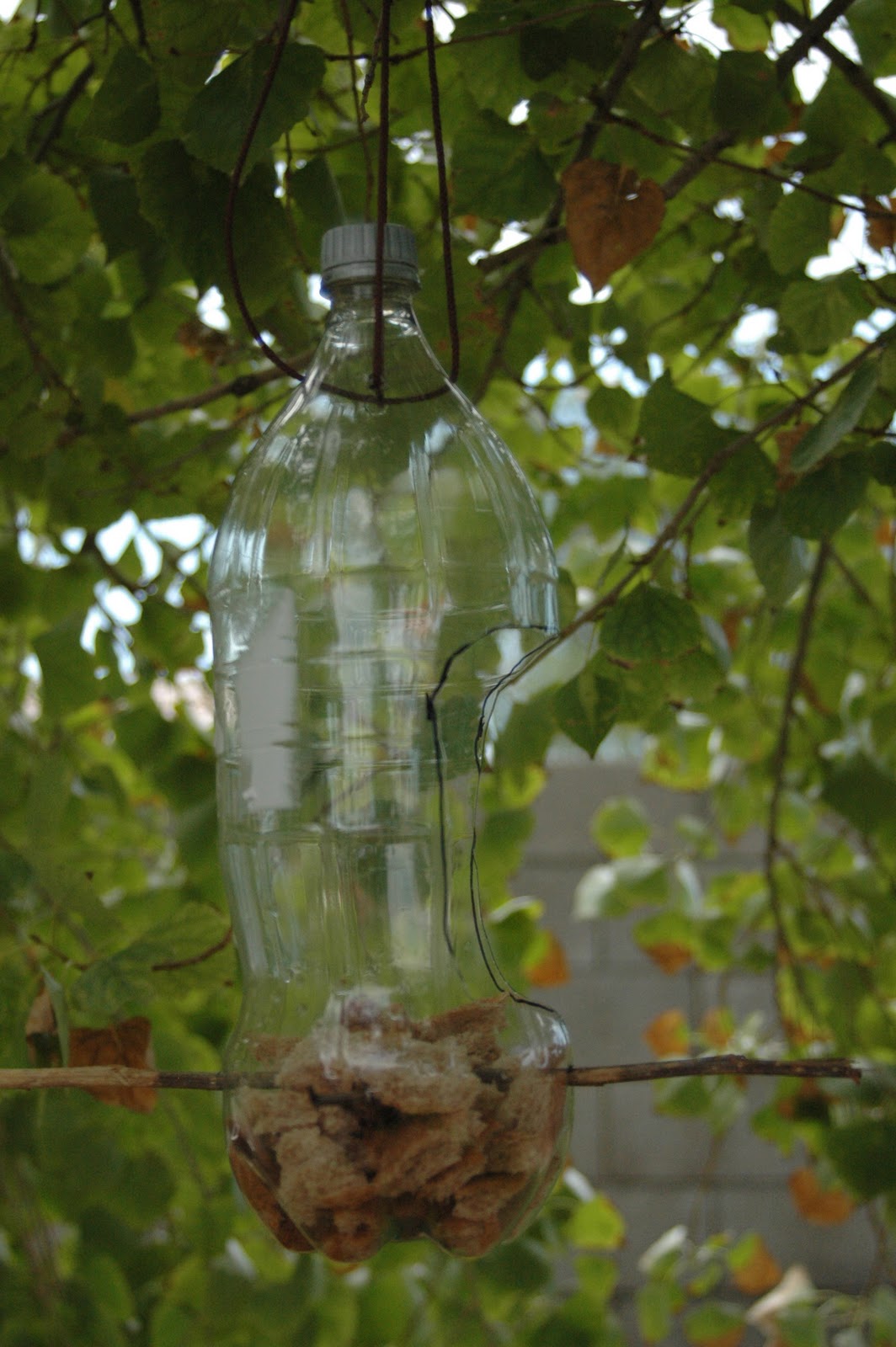 What Mommy Wants Recylced 2liter Bottle Bird Feeder