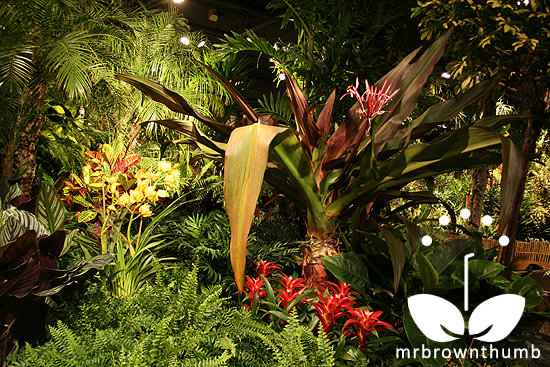 Brazilian Jungle. Macy's Flower Show