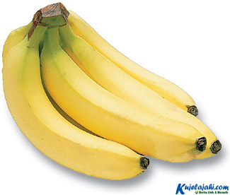Buah yang Baik Untuk Penolak Penyakit Flu - Kujelajahi.com Buah yang Baik Untuk Penolak Penyakit Flu - Kujelajahi.com