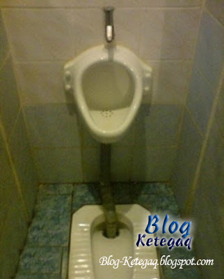 Peliknya rekaan tandas di China