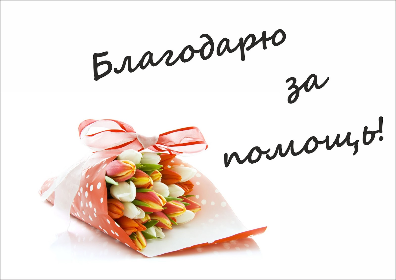 Интервью с медалистками 15 кг - Страница 4 3+(2)