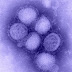 Más de 500 muertes por influenza en lo que va del año