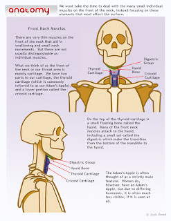 Drawsh: The Front Neck