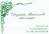 Fiorista Marizzoli