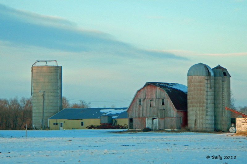 Sally Saw... Barn Charm Big Pine