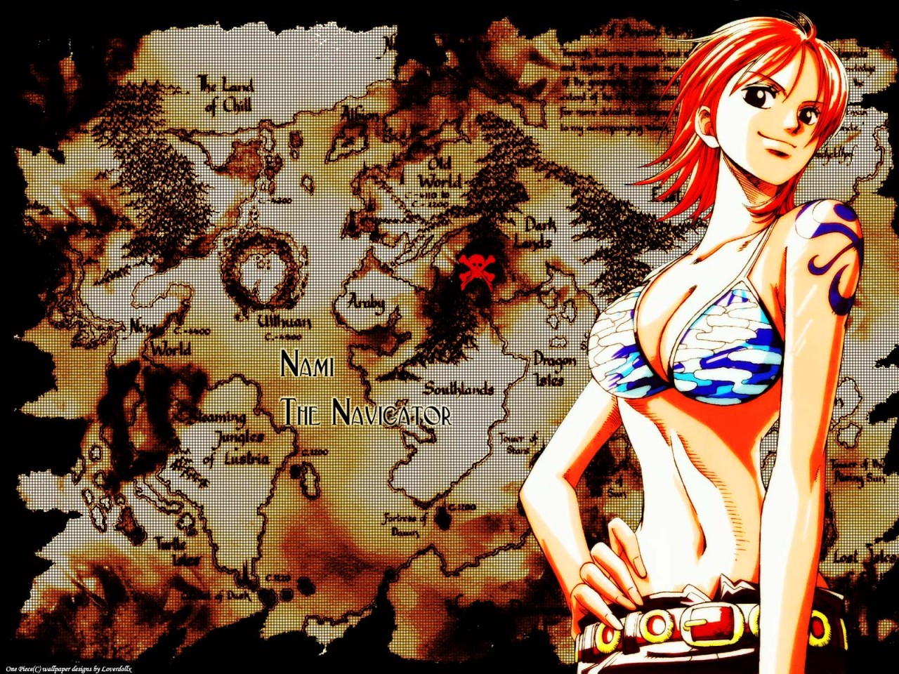 One Piece HD & Widescreen Wallpaper 0.0898900243975271