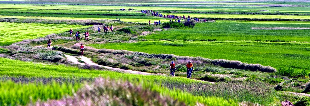 Cantimpalos (Segovia), 10 de mayo de 2014