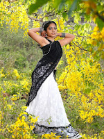 Punarnavi in Ee Cinema Superhit movie-cover-photo
