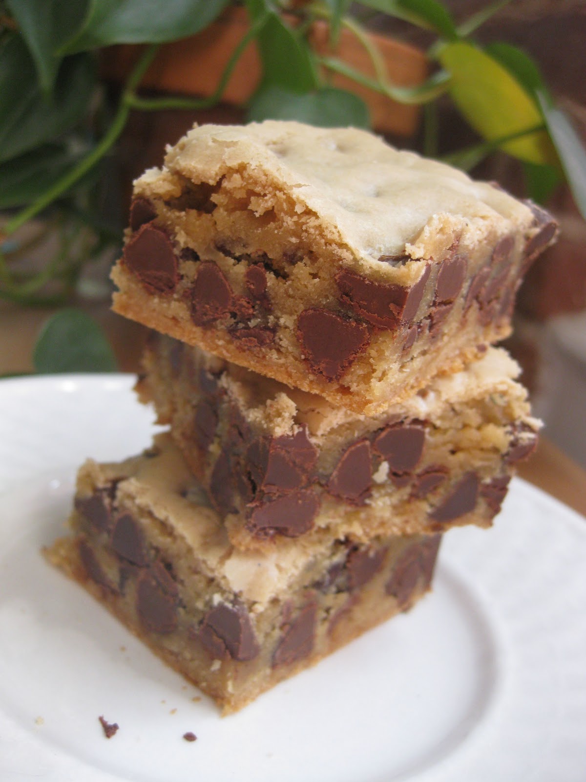 Sunday Treats Chewy Chocolate Chip Cookie Bars